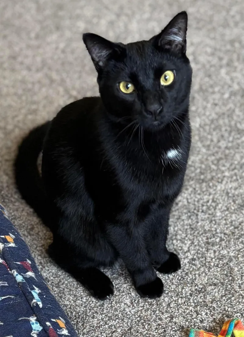 Jack & Jill thumbnail 3