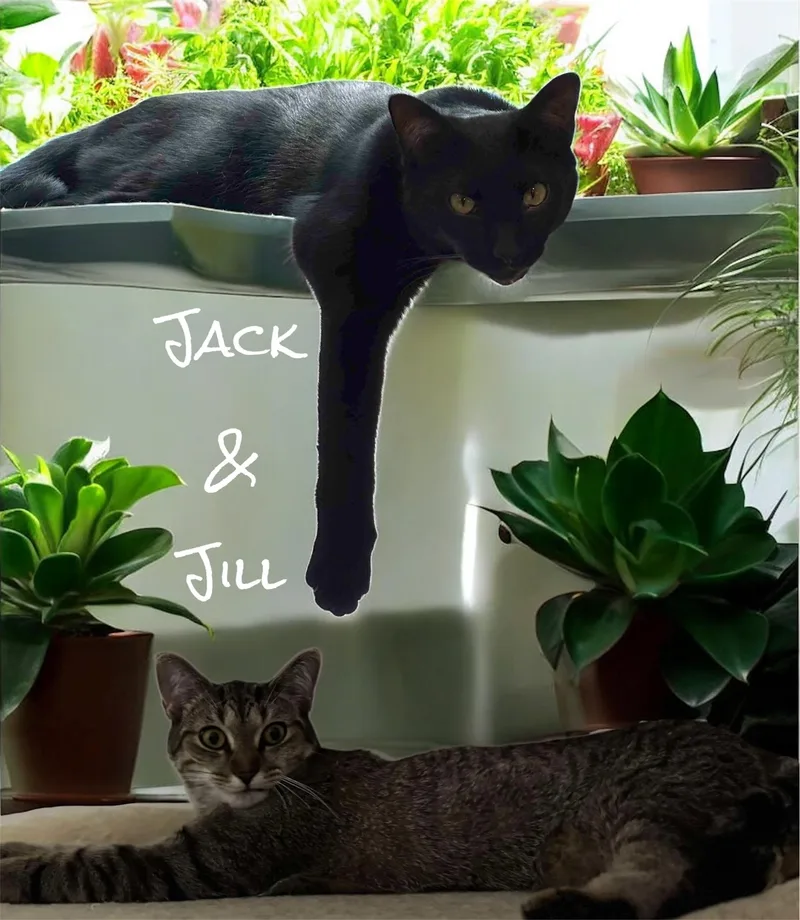 Jack & Jill