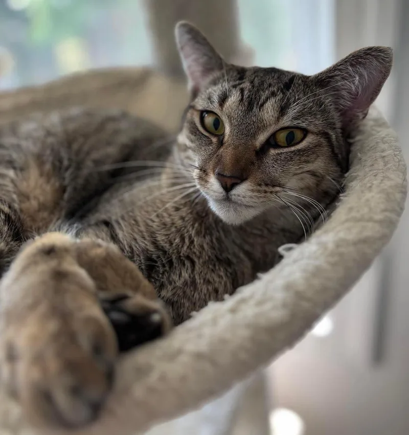 Jack & Jill thumbnail 4