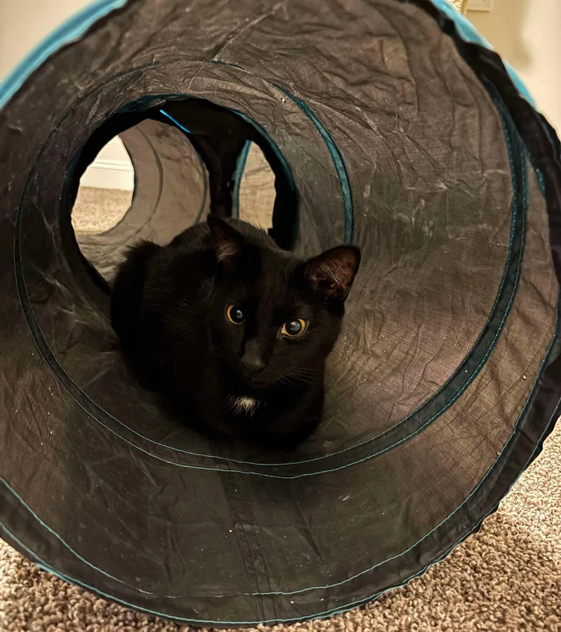 Jack & Jill thumbnail 5