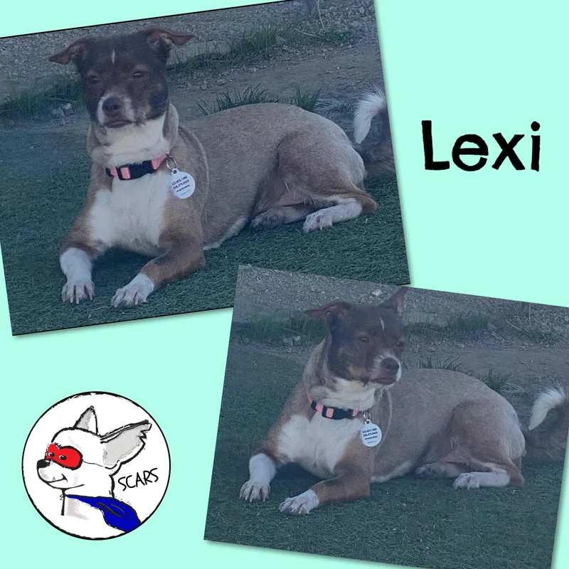 Lexi thumbnail 4