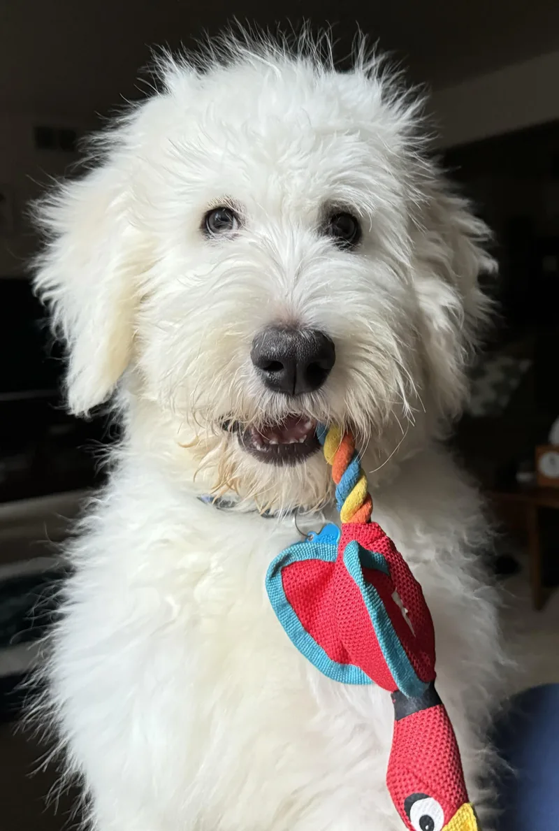 Pablo Escobark thumbnail 5