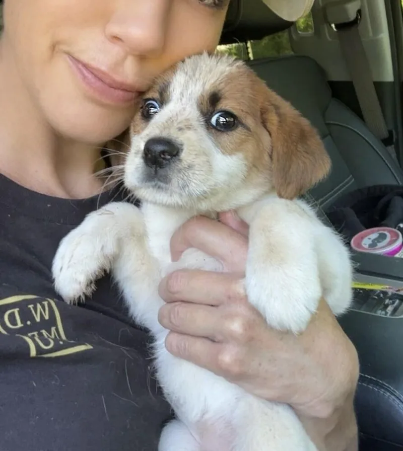 Babe Ava thumbnail 2