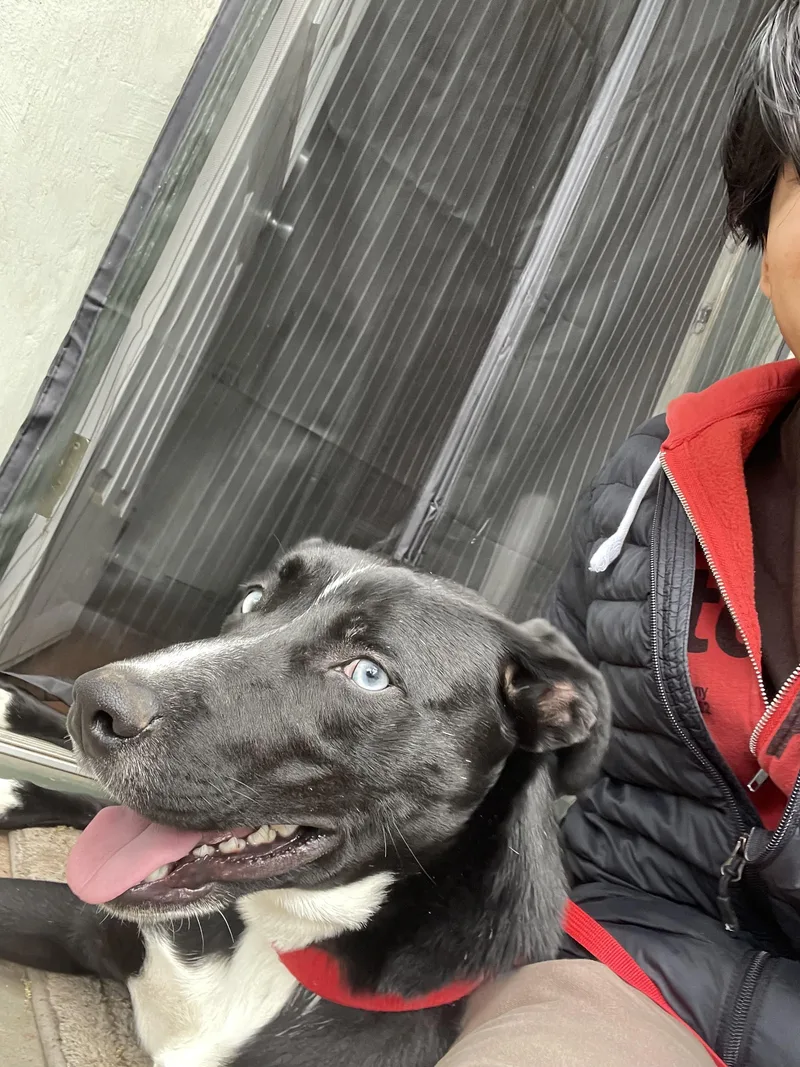 Skylar Aka Skye thumbnail 2
