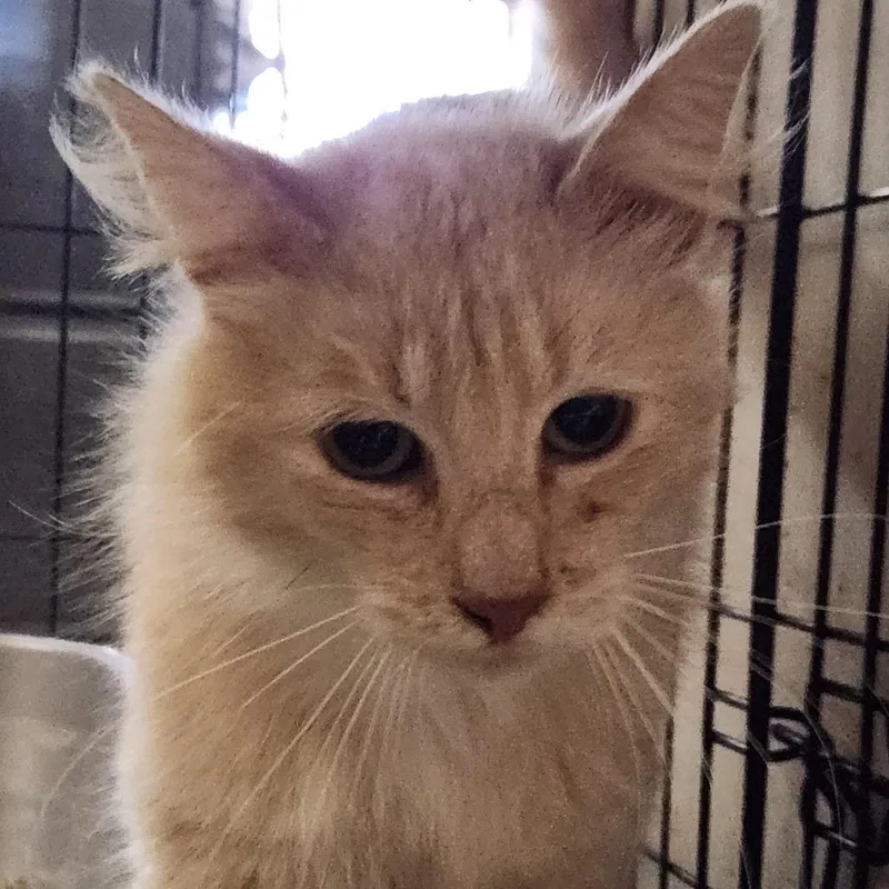 Graham C thumbnail 2