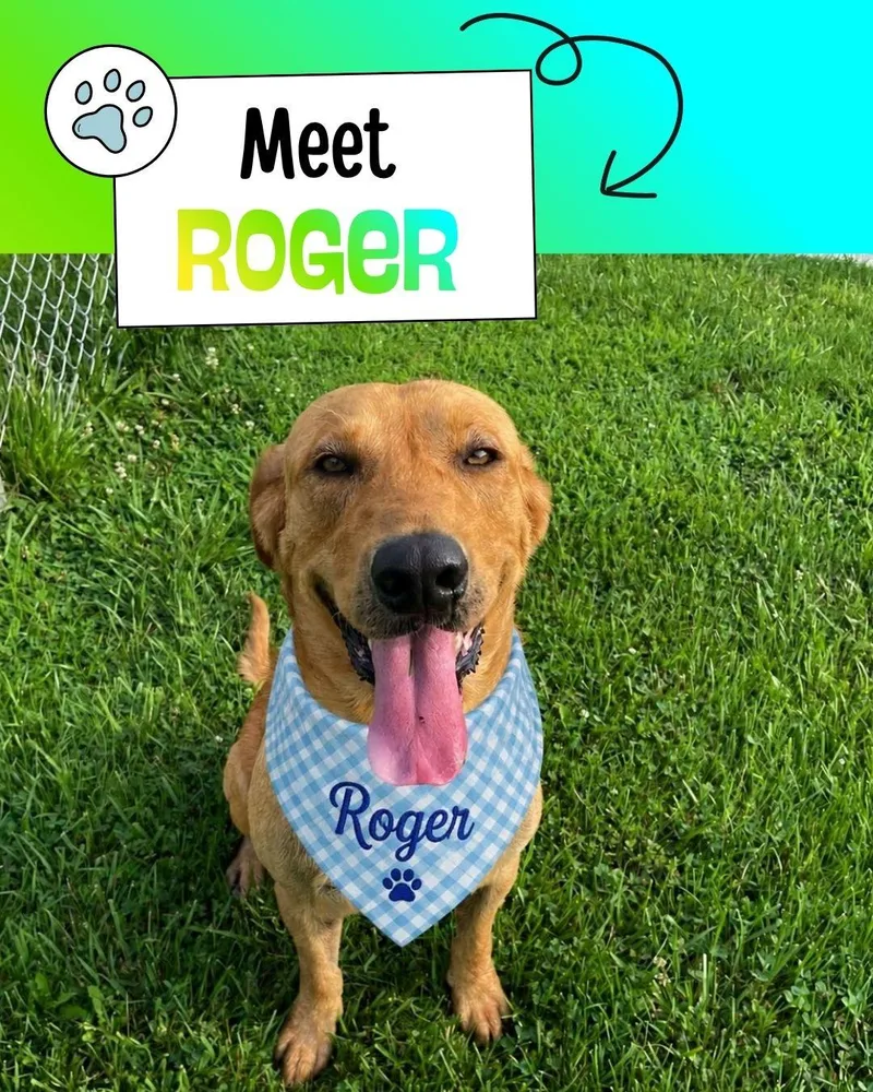 Roger thumbnail 4