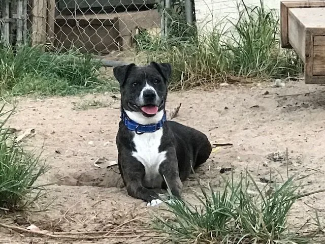 Hobo The College Grad thumbnail 2