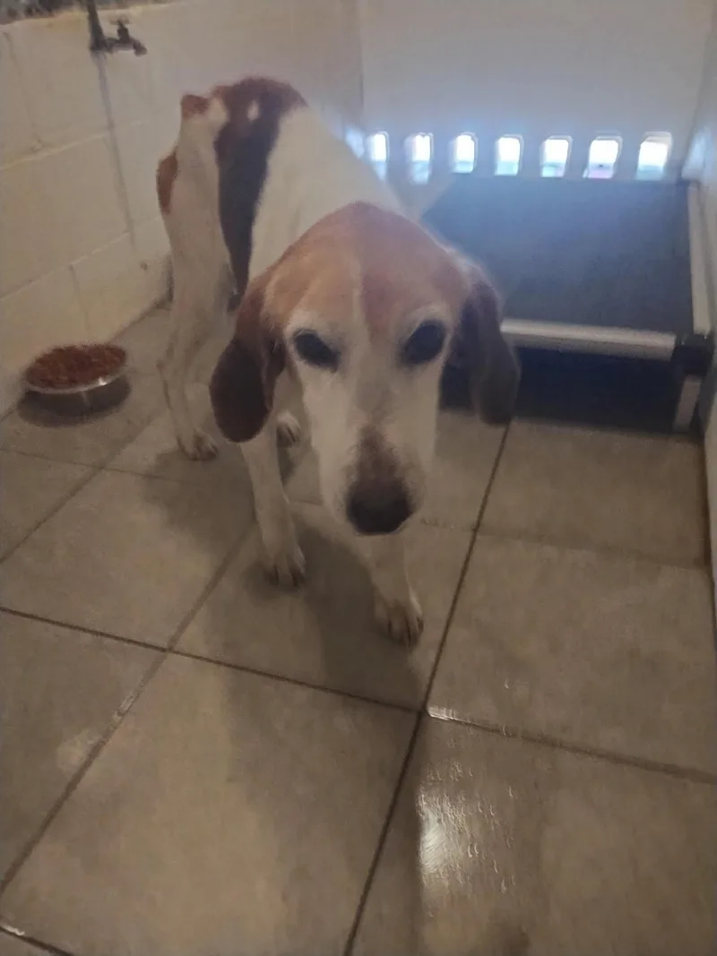 Meet Aprilapril Showers Bring… thumbnail 2