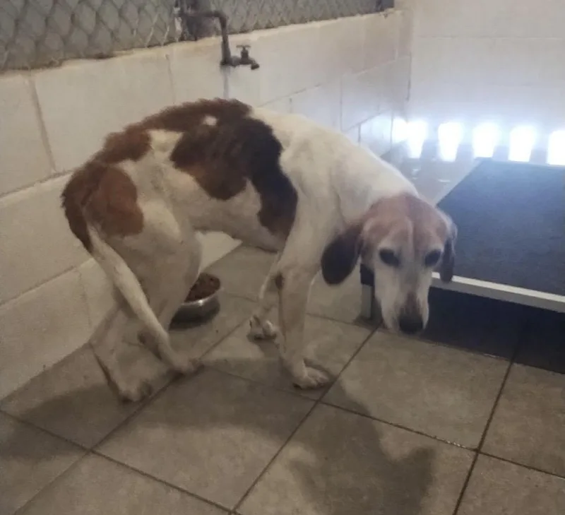 Meet Aprilapril Showers Bring…