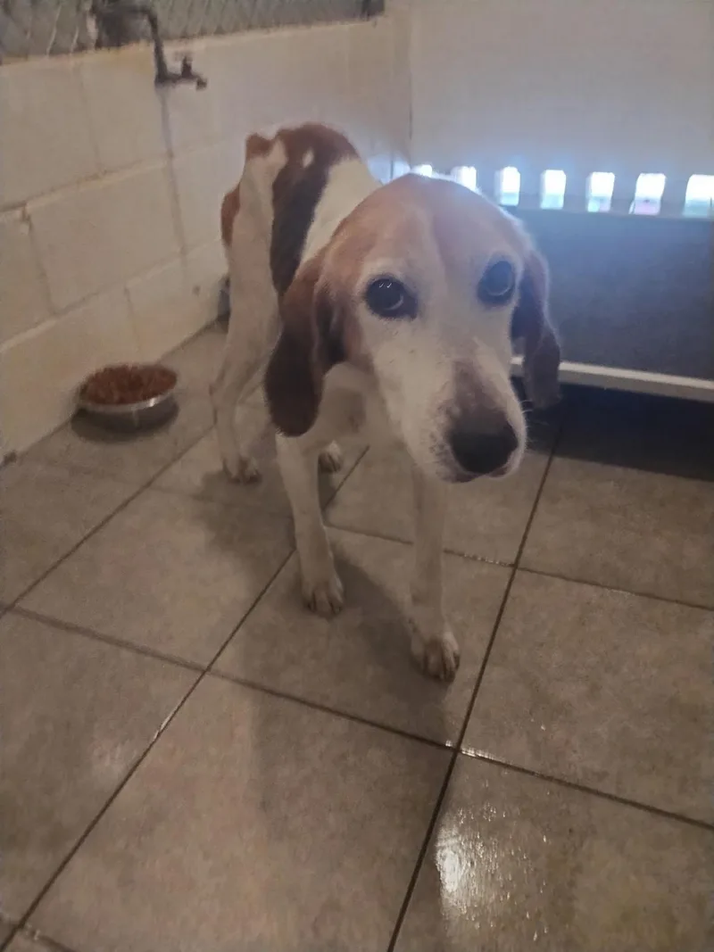 Meet Aprilapril Showers Bring… thumbnail 3