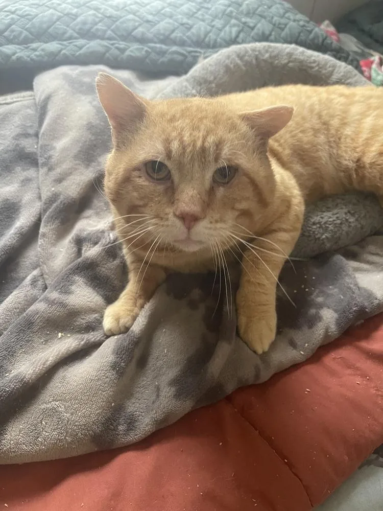 Mustafah thumbnail 2