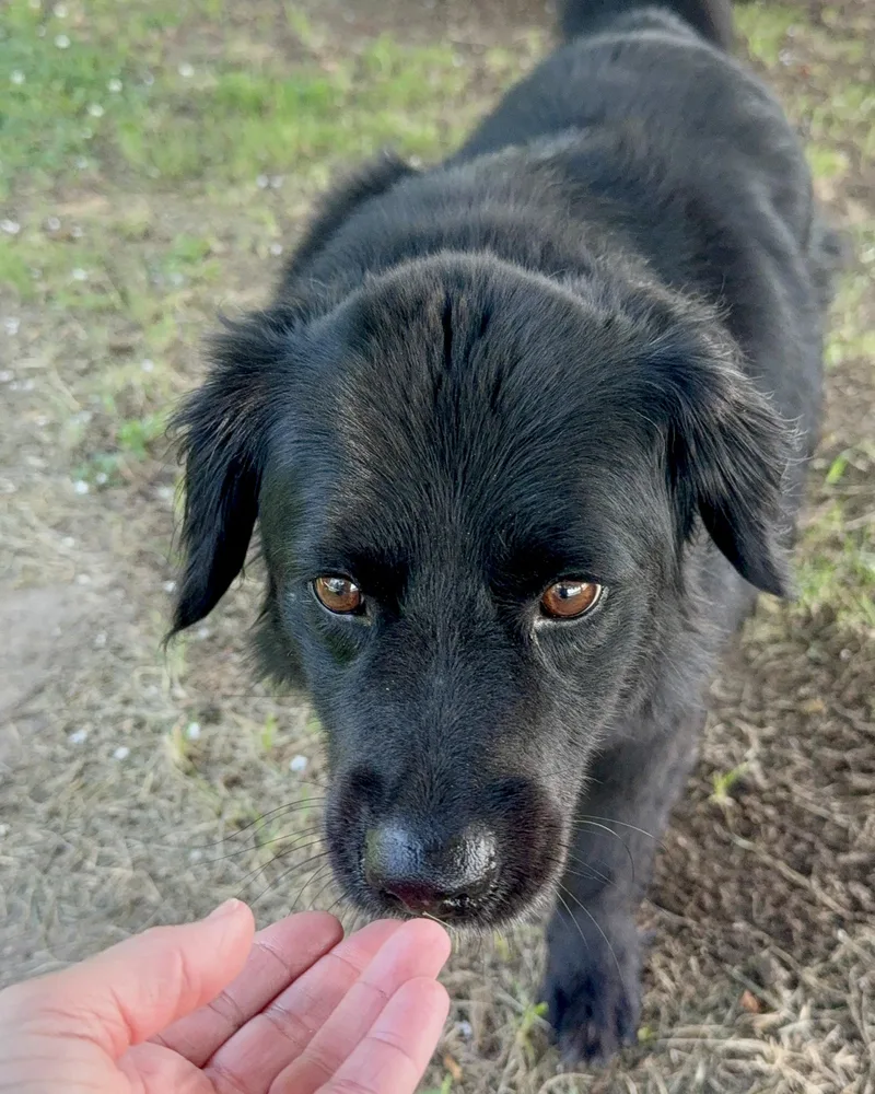 Benjamin Bonded With Emma thumbnail 2