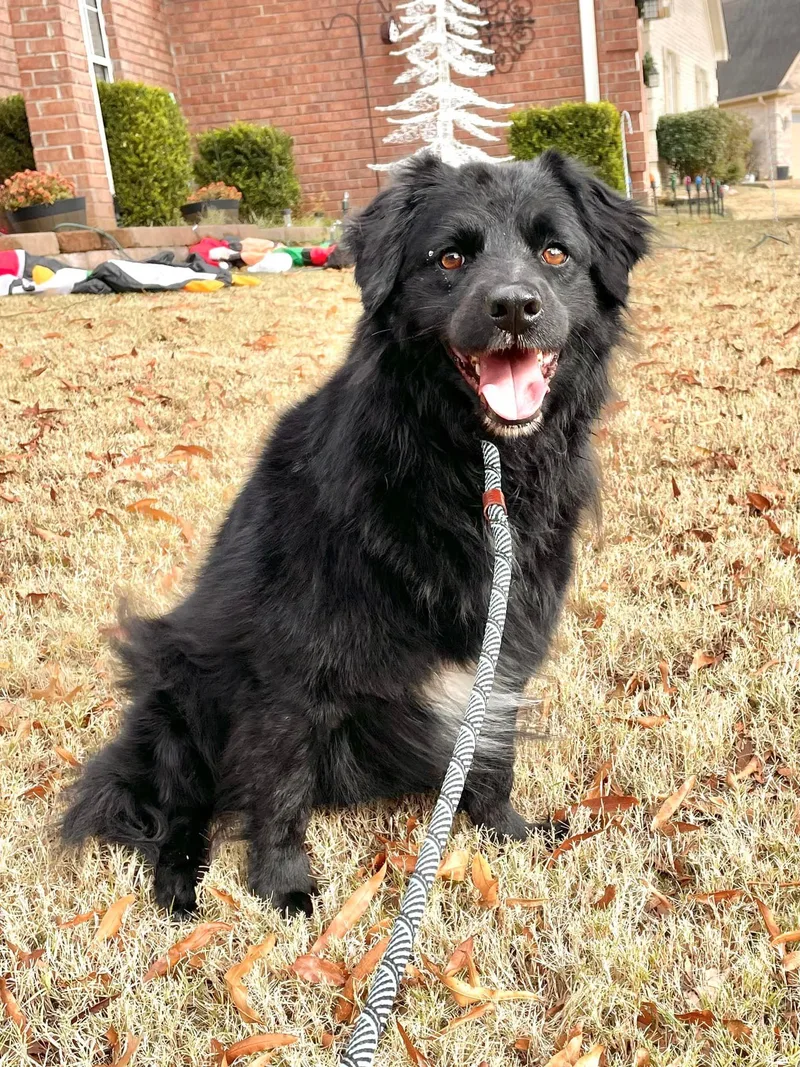 Benjamin Bonded With Emma