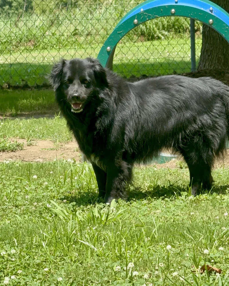 Benjamin Bonded With Emma thumbnail 3