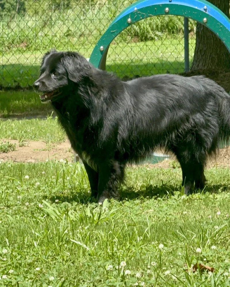 Benjamin Bonded With Emma thumbnail 5