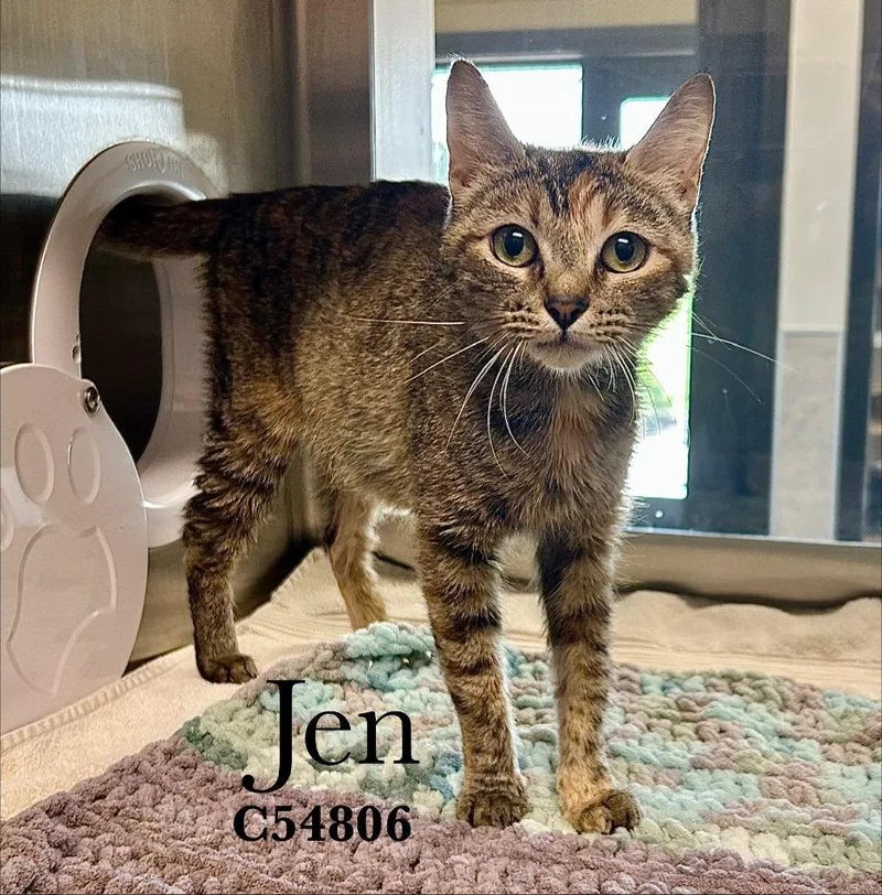 Jen