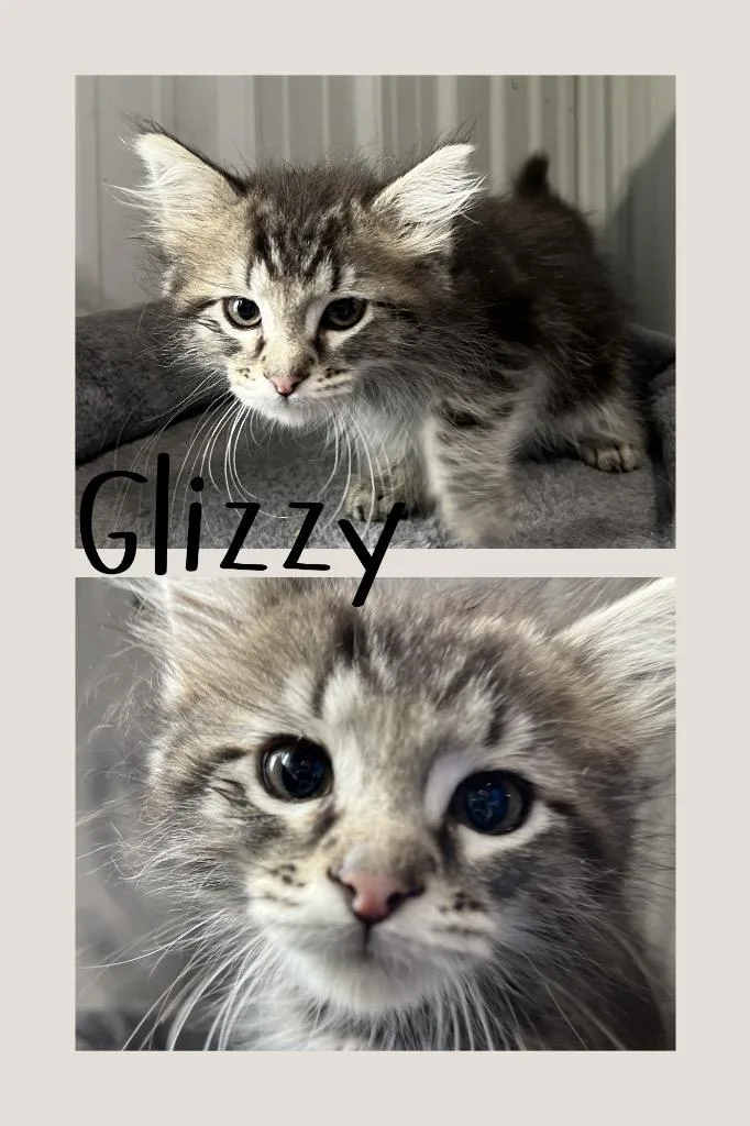Glizzy