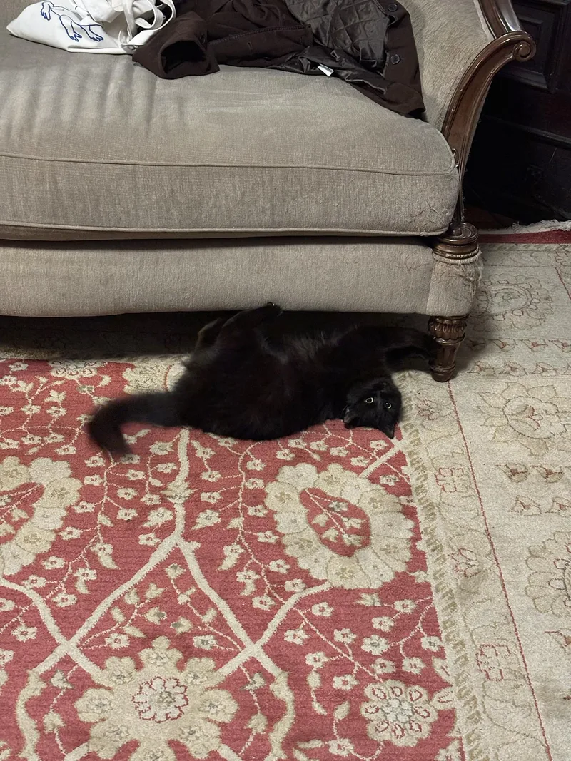 Whisper Wheeler thumbnail 3