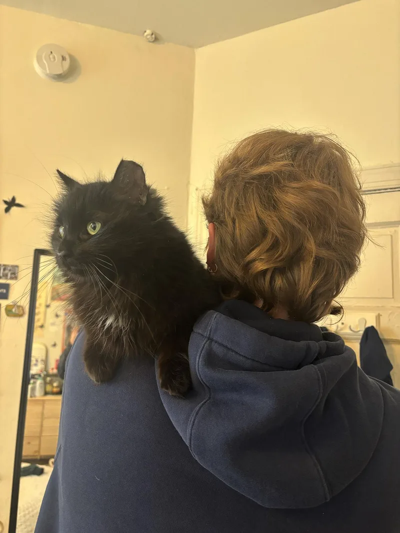 Whisper Wheeler thumbnail 4