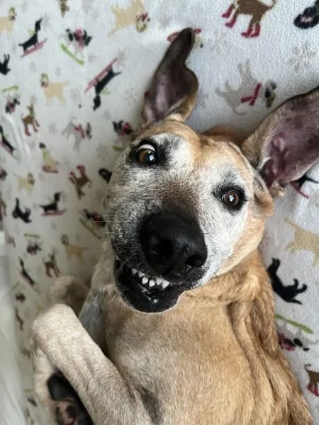 Zoe