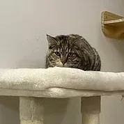 Apple + Cider thumbnail 3