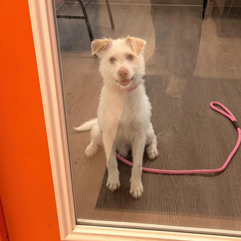 Max