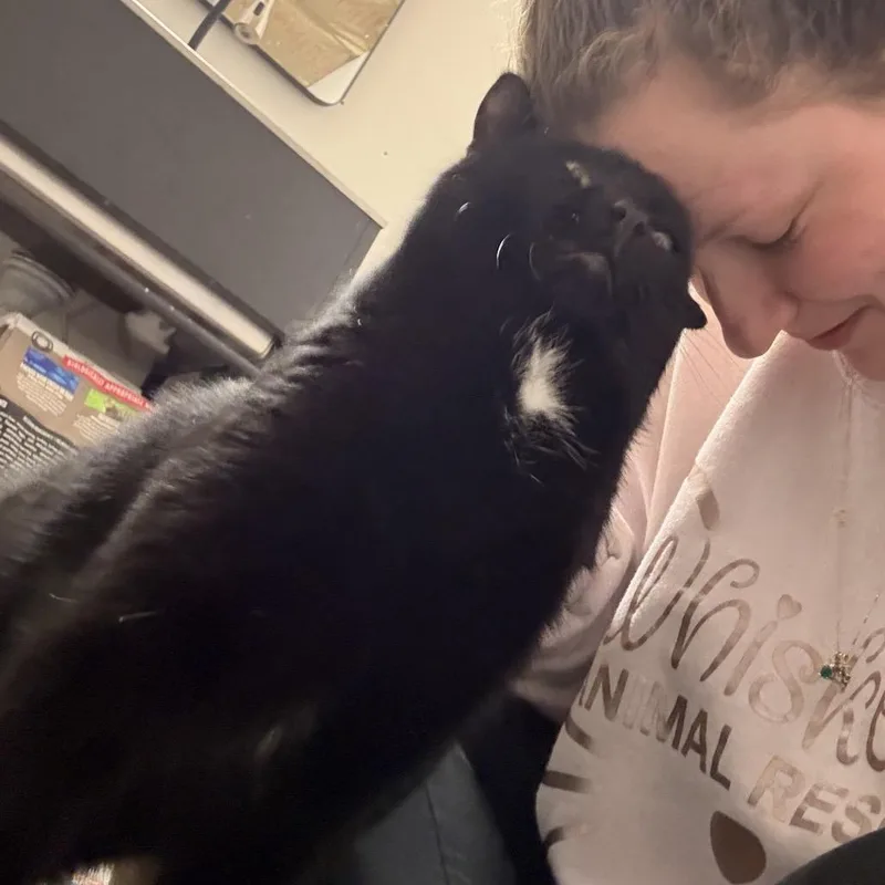 Beefcake thumbnail 3