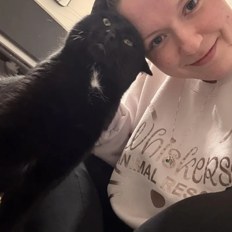 Beefcake thumbnail 4