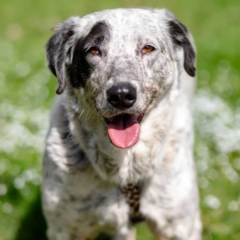 Nata thumbnail 6