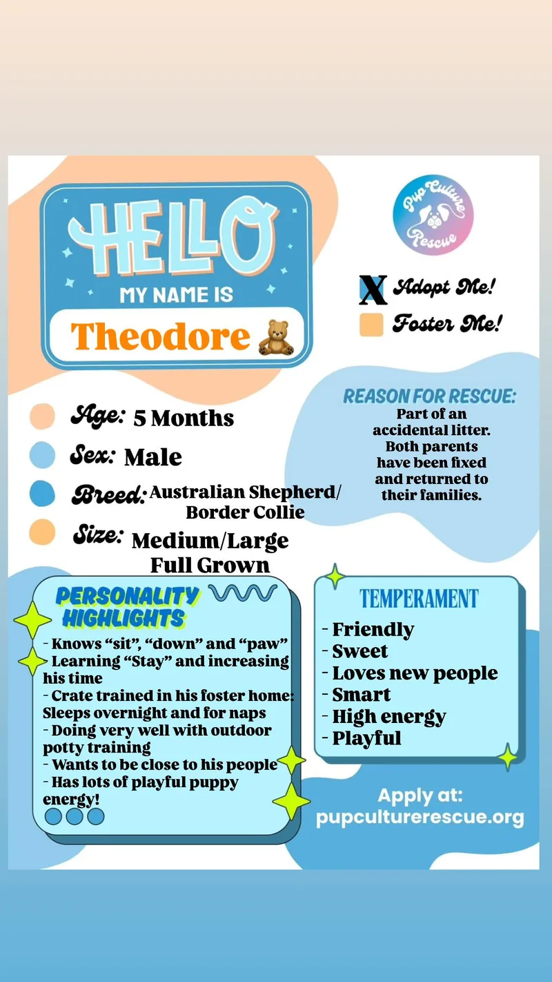 Theodore thumbnail 4