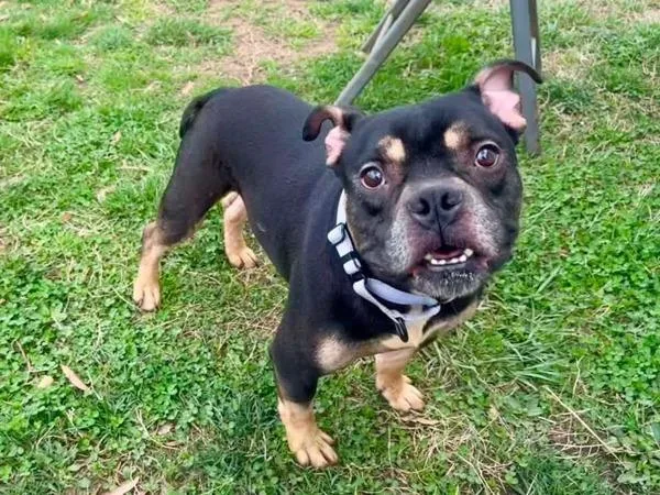 Tokyo Drift thumbnail 3