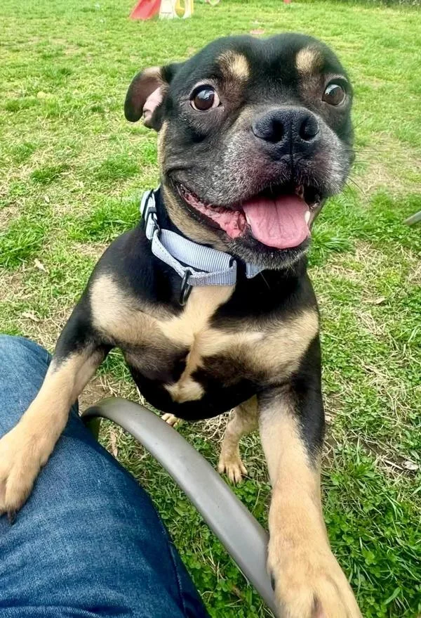 Tokyo Drift thumbnail 4