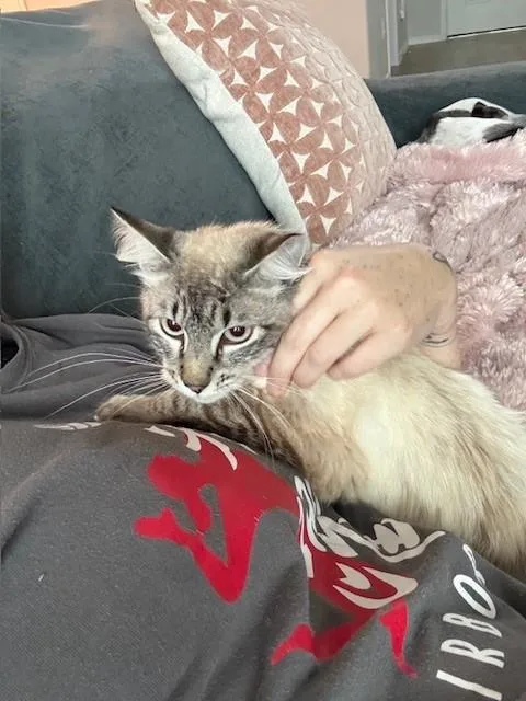 Ice Cube thumbnail 2