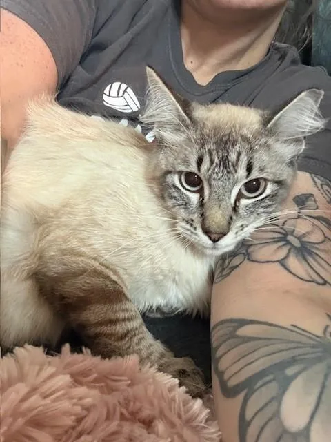 Ice Cube thumbnail 4