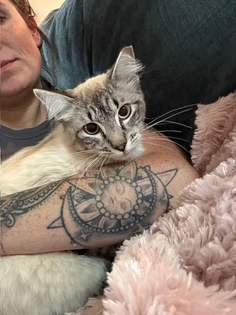 Ice Cube thumbnail 5