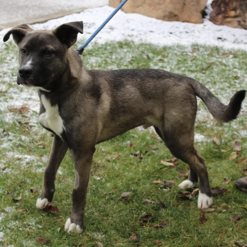 Stranger thumbnail 2