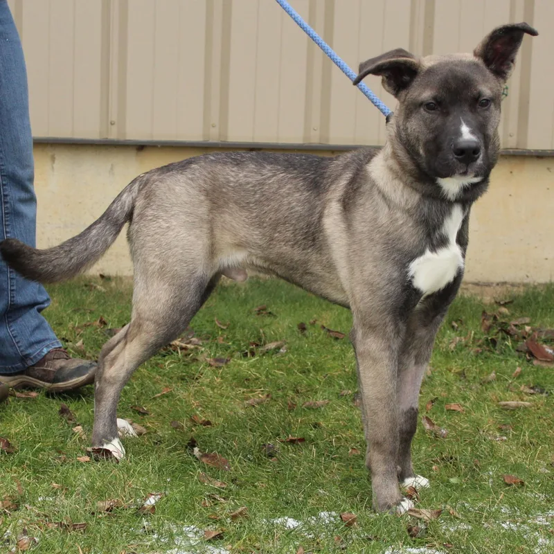 Stranger thumbnail 3