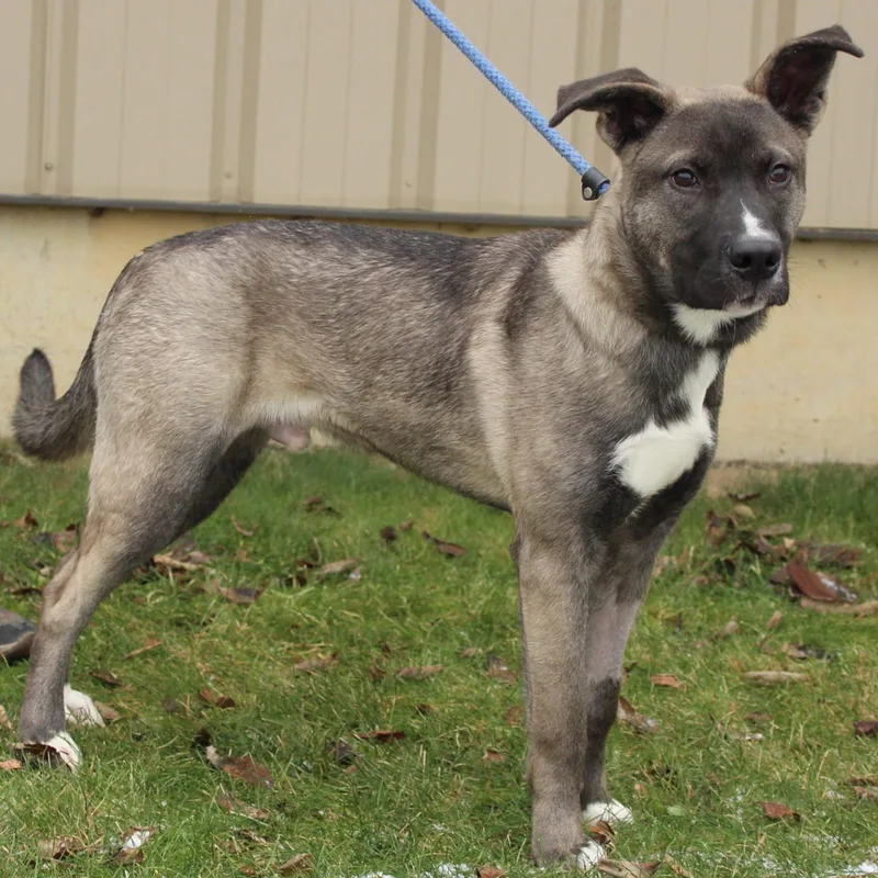 Stranger thumbnail 4