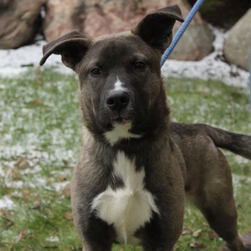 Stranger thumbnail 5