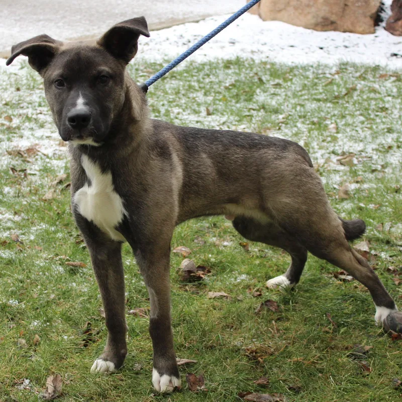 Stranger thumbnail 6