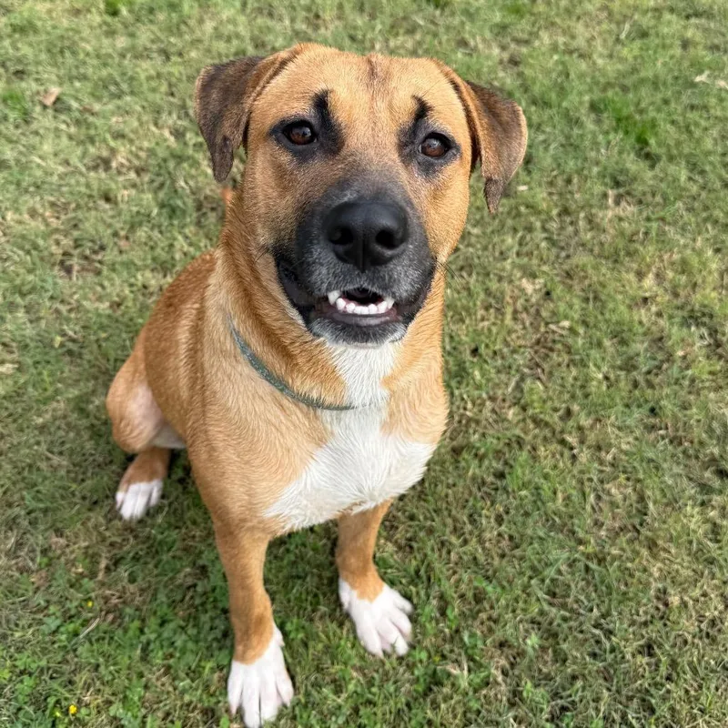 Smudge thumbnail 2