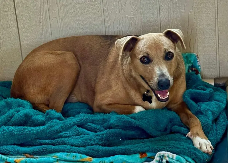 Sadie Marie thumbnail 3