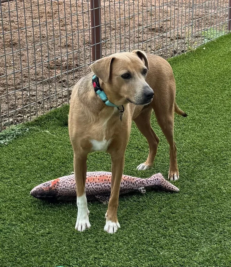 Sadie Marie thumbnail 4