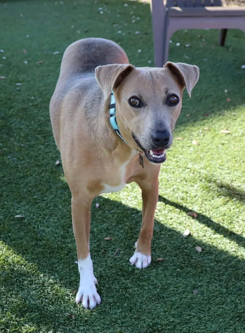 Sadie Marie thumbnail 5