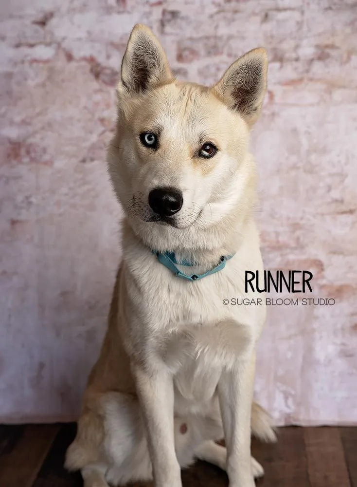 Runner thumbnail 6