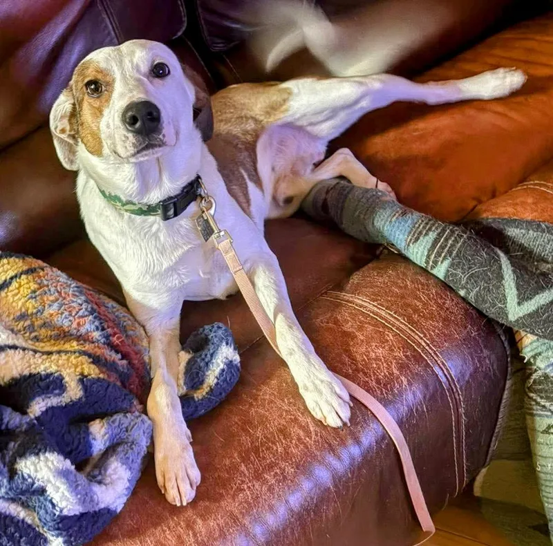 Barclay thumbnail 2