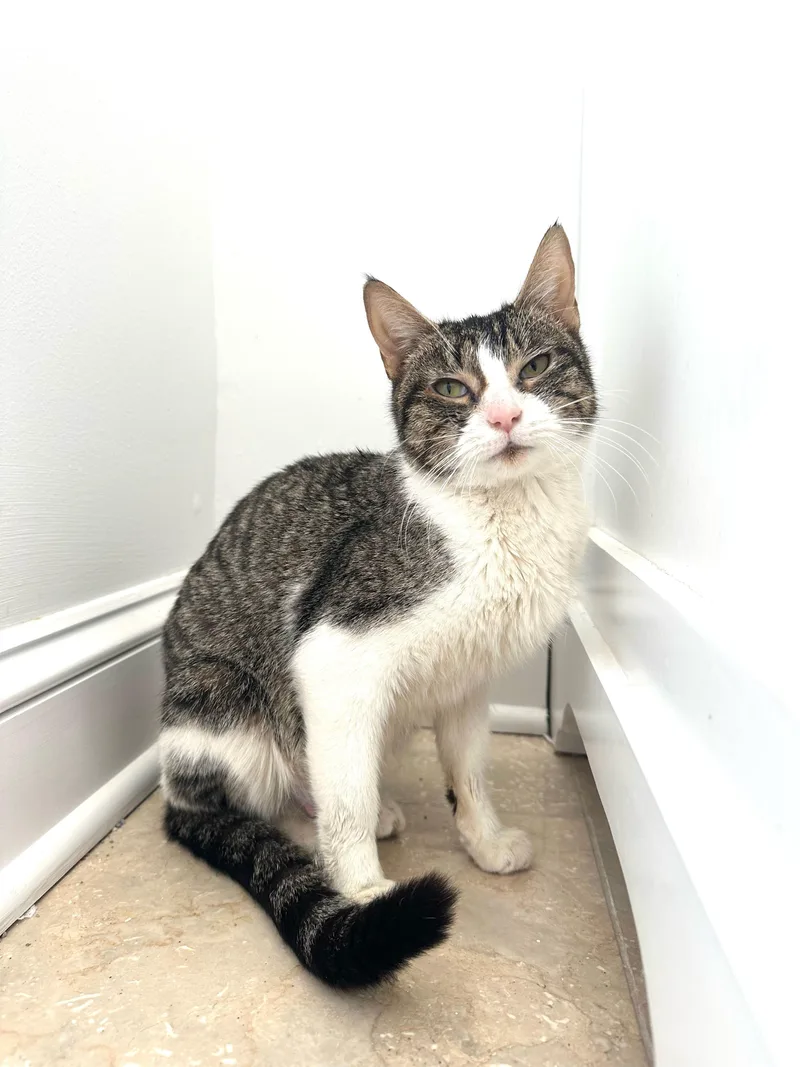 Mama Depot thumbnail 3