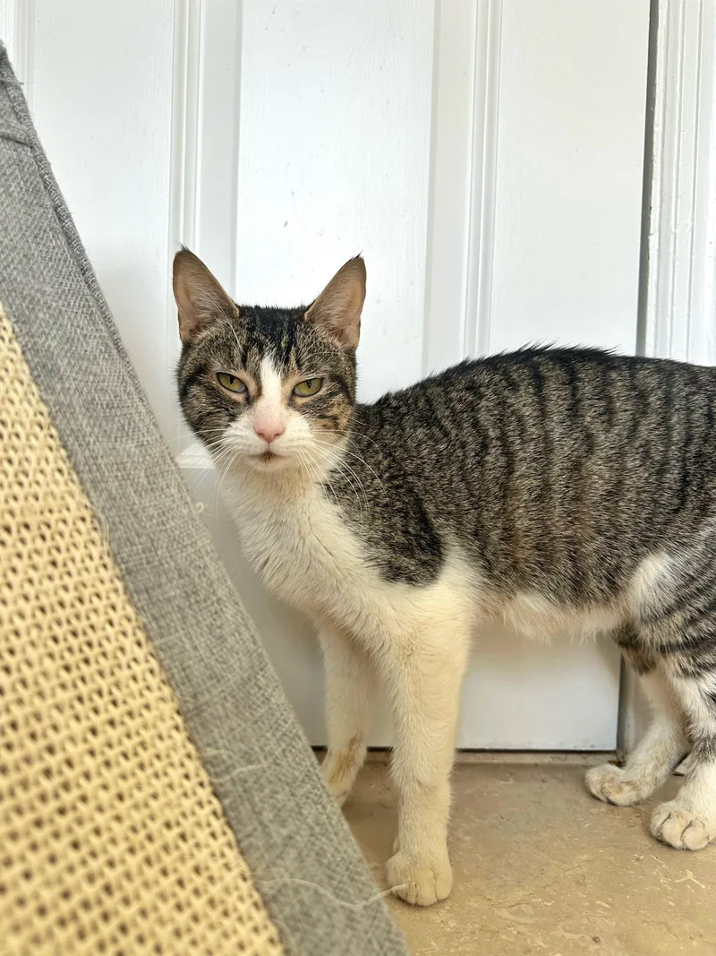 Mama Depot thumbnail 4