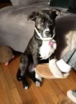 Phoebe Scroll To Typed thumbnail 2