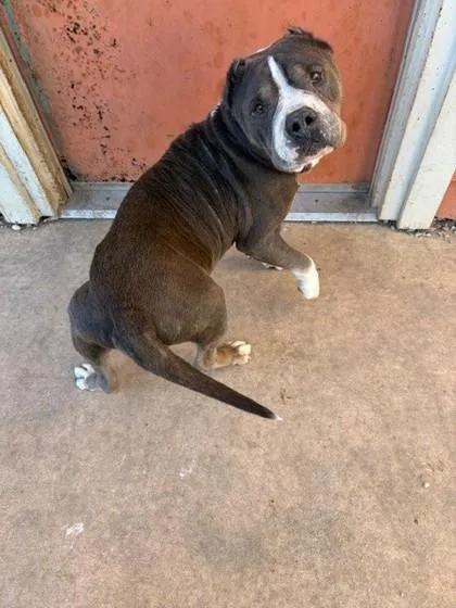 Fernando thumbnail 2